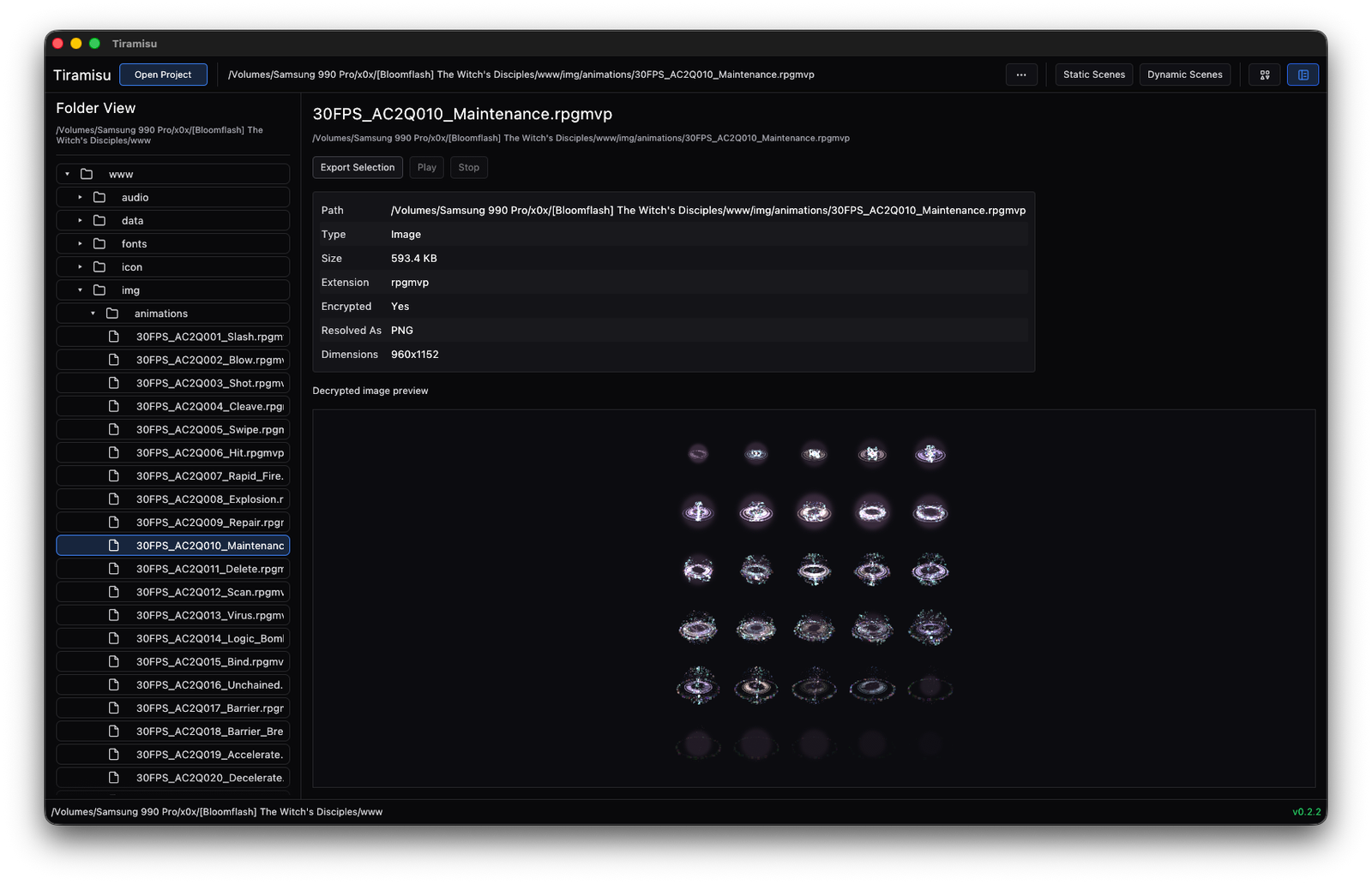 Folder view showing project tree, file metadata, and a decrypted image preview.